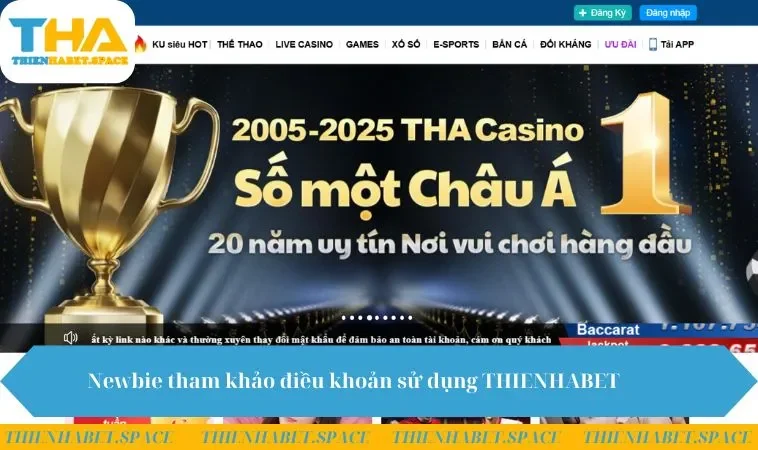 Newbie tham khảo điều khoản sử dụng THIENHABET