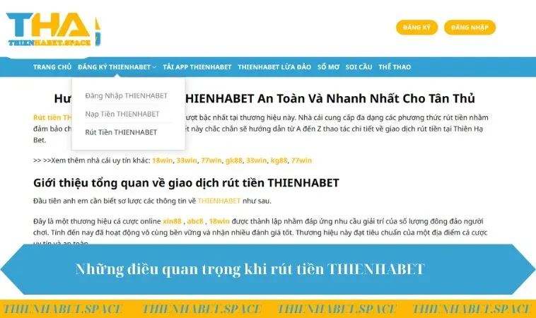 Những Điều Quan Trọng Khi Rút Tiền THIENHABET